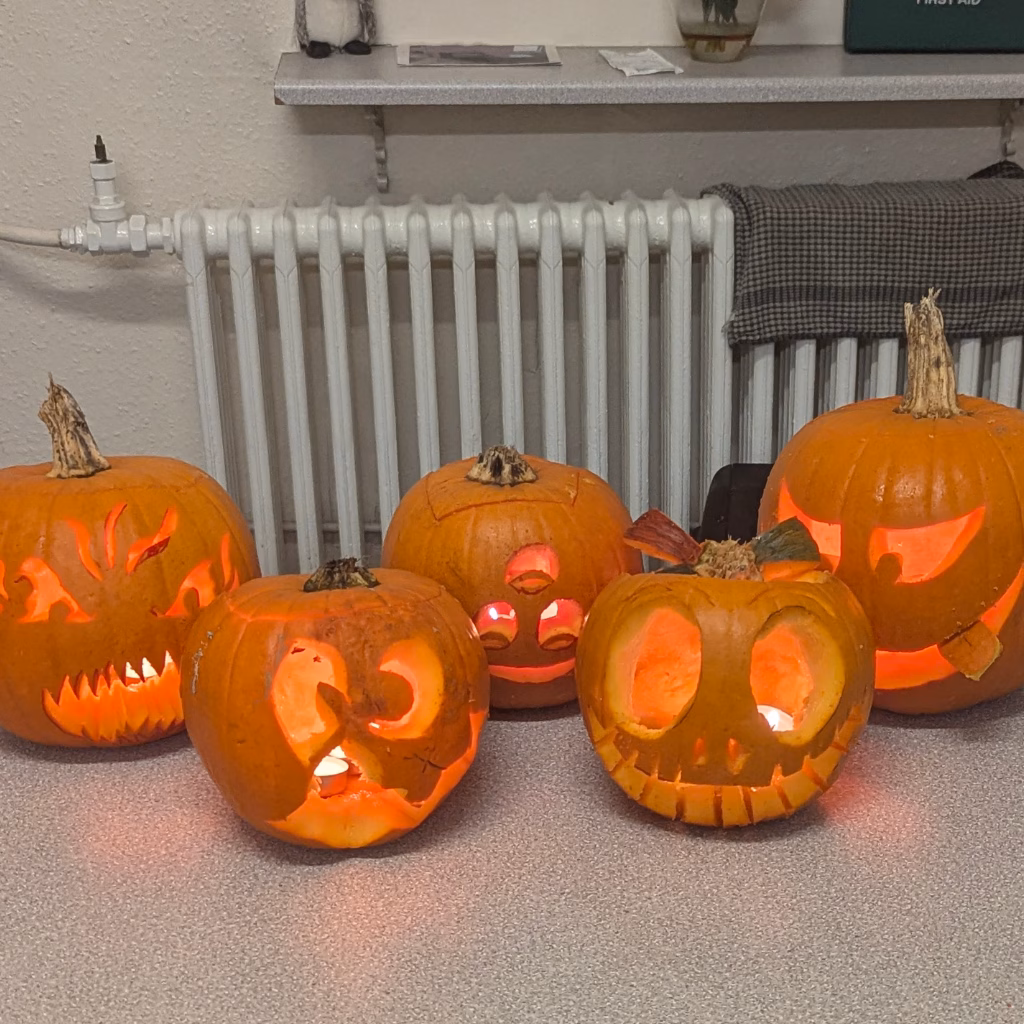 Mindful Rainbow Pumpkins Group of Halloween pumpkins